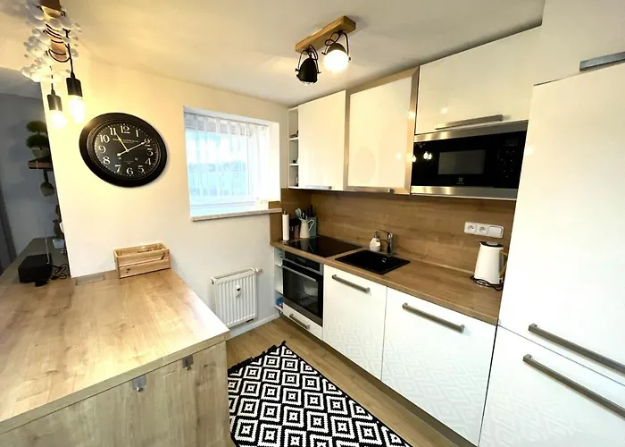 Apartman Lipno 1 公寓 *