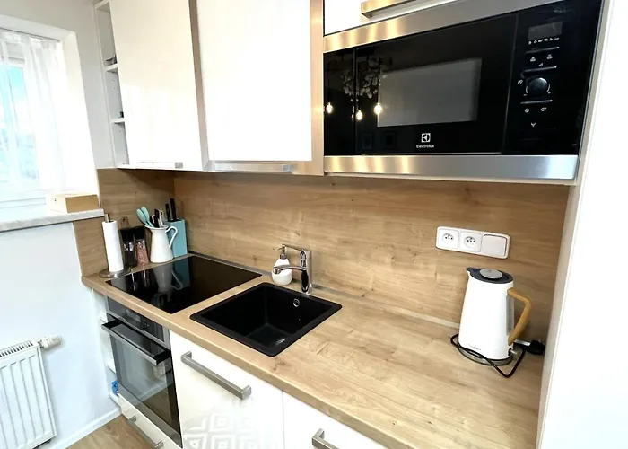 Apartman Lipno 1 公寓