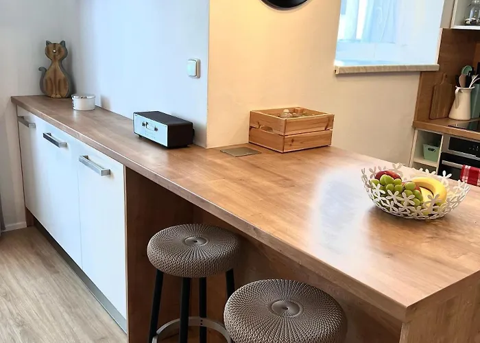 公寓 Apartman Lipno 1 *